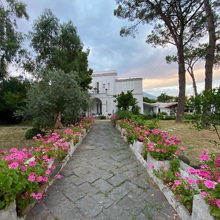B&B Casa Maria Vittoria Torre del Greco Eksteriør billede