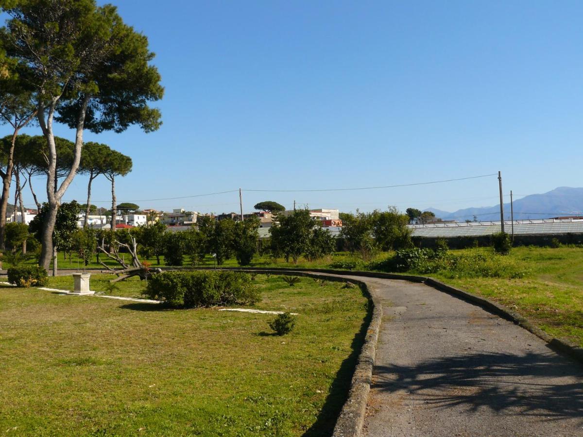 B&B Casa Maria Vittoria Torre del Greco Eksteriør billede